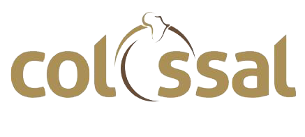 Colossal Africa
